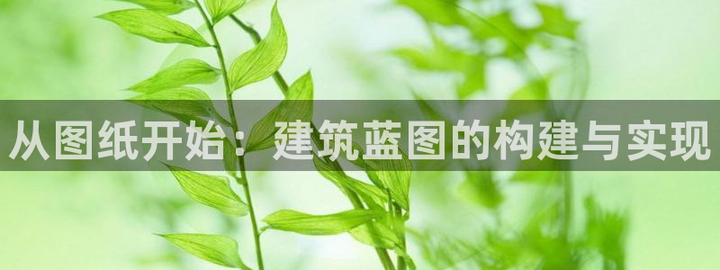 富联娱乐主管自判官333OO：从图纸开始：建筑蓝图的构建与实现