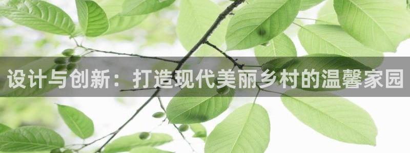 富联娱乐在线观看视频：设计与创新：打造现代美丽乡村的温馨家园