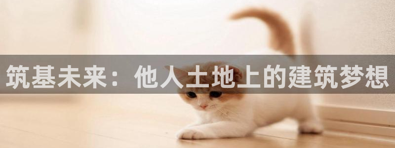 富联娱乐注册定唐老鸭779O3：筑基未来：他人土地上的建筑梦想