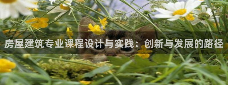 富联娱乐测速登录不上：房屋建筑专业课程设计与实践：创新与发展的路径