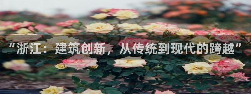 富联娱乐首页官网登录：“浙江：建筑创新，从传统到现代的跨越”