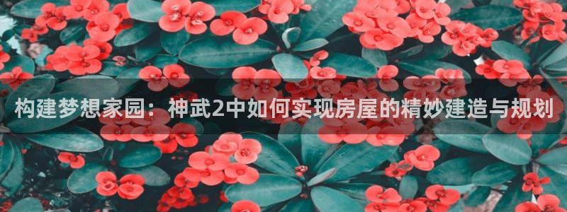 富联2娱乐登录：构建梦想家园：神武2中如何实现房屋的精妙建造与规划