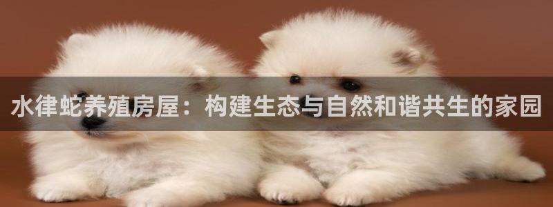 佰富联娱乐团购是真的吗：水律蛇养殖房屋：构建生态与自然和谐共生的家园