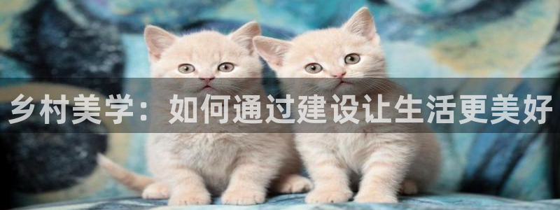 富联2娱乐元哥是谁：乡村美学：如何通过建设让生活更美好