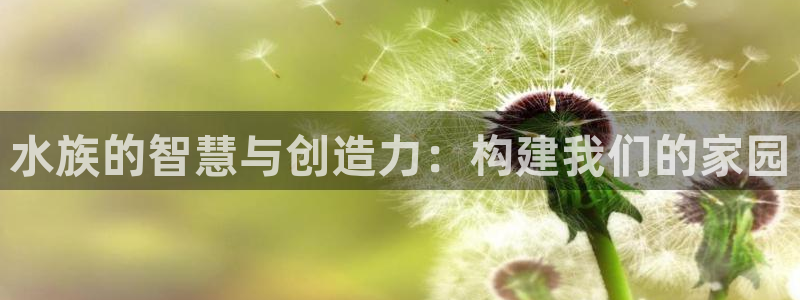 富联娱乐主管右原判官333OO：水族的智慧与创造力：构建我们的家园