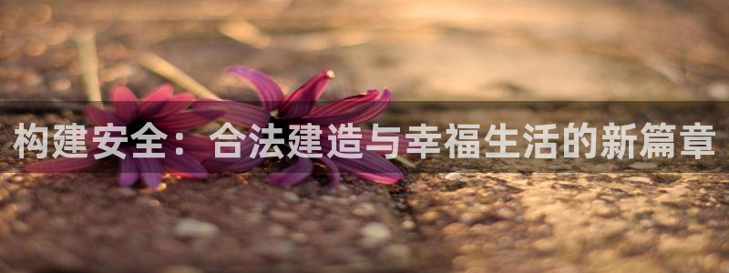 富联娱乐乃六七五一38：构建安全：合法建造与幸福生活的新篇章