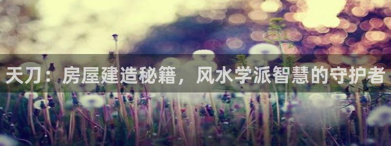 富联娱乐主管是谁啊：天刀：房屋建造秘籍，风水学派智慧的守护者