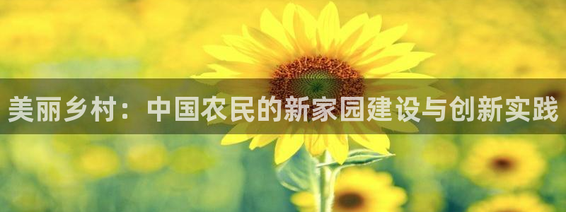 富联娱乐女团排名多少：美丽乡村：中国农民的新家园建设与创新实践