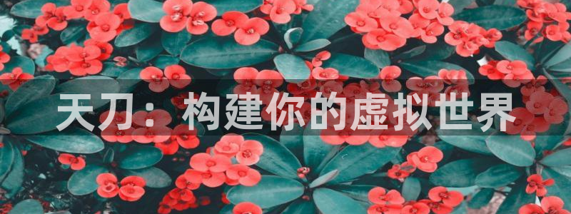 富联娱乐乙67OO6：天刀：构建你的虚拟世界