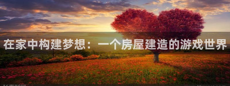 富联2娱乐元哥是谁：在家中构建梦想：一个房屋建造的游戏世界