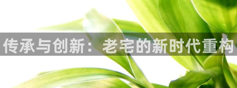 富联娱乐主管：传承与创新：老宅的新时代重构