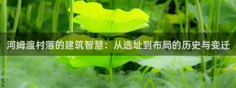 富联娱乐官网下载安卓版：河姆渡村落的建筑智慧：从选址到布局的历史与变迁