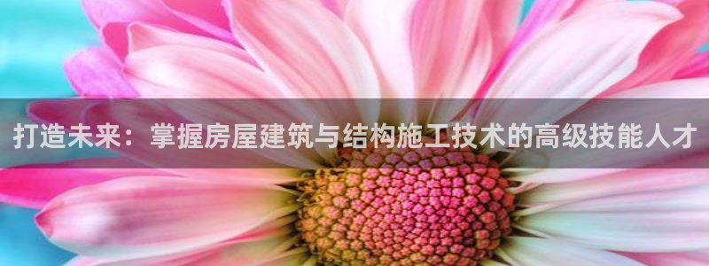 富联娱乐元哥53551：打造未来：掌握房屋建筑与结构施工技术的高级技能人才