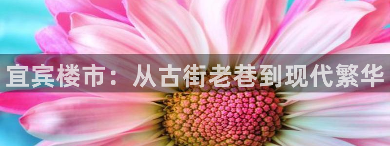 富联娱乐更究7276O：宜宾楼市：从古街老巷到现代繁华
