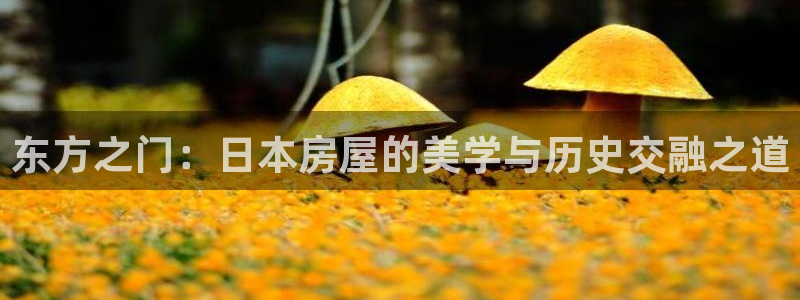 富联2娱乐注册地址在哪：东方之门：日本房屋的美学与历史交融之道
