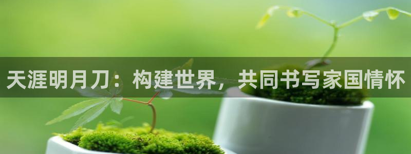 富联娱乐官方网站下载安装：天涯明月刀：构建世界，共同书写家国情怀