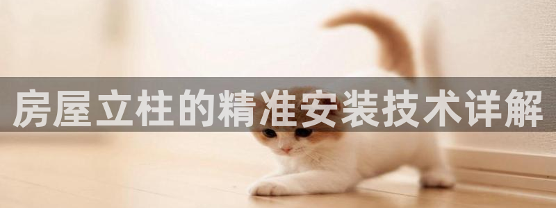 富联娱乐女团有哪些人：房屋立柱的精准安装技术详解
