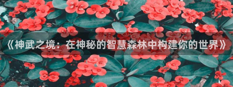 富联娱乐代理是谁：《神武之境：在神秘的智慧森林中构建你的世界》