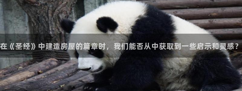 富联娱乐主管就判官333OO：在《圣经》中建造房屋的篇章时，我们能否从中获取到一些启示和灵感？
