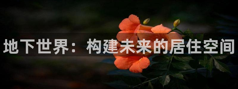 富联娱乐测速登录不了：地下世界：构建未来的居住空间