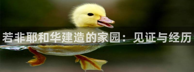 富联娱乐招商形判官333OO：若非耶和华建造的家园：见证与经历