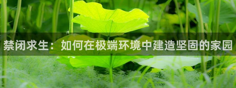 富联娱乐贴吧官网下载：禁闭求生：如何在极端环境中建造坚固的家园