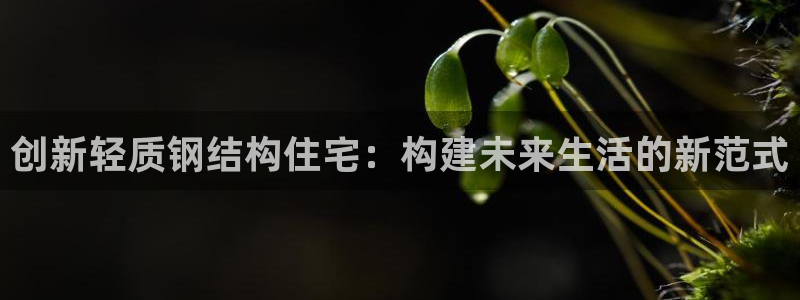富联娱乐注册食判官333OO：创新轻质钢结构住宅：构建未来生活的新范式