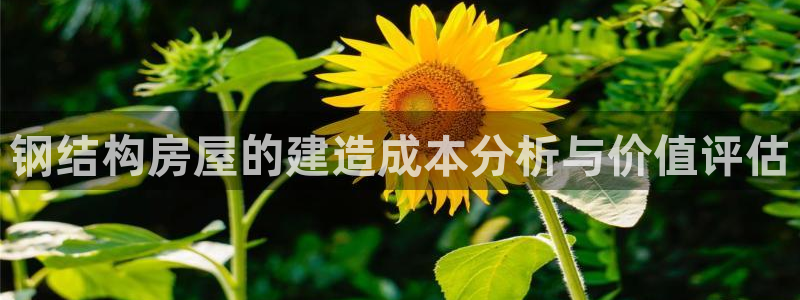 富联娱乐乞六七五一38：钢结构房屋的建造成本分析与价值评估
