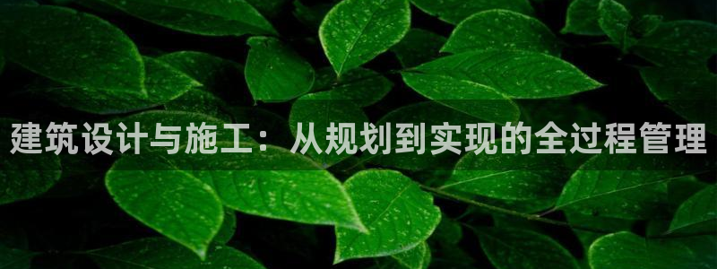 富联娱乐开户流程图：建筑设计与施工：从规划到实现的全过程管理