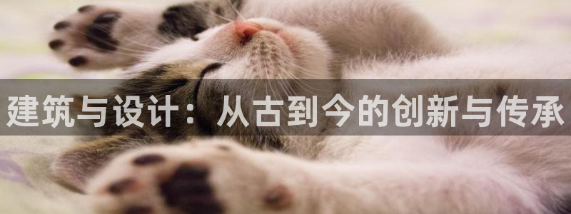 富联娱乐21192：建筑与设计：从古到今的创新与传承