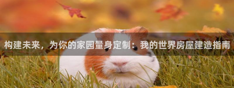 富联娱乐app更新时间：构建未来，为你的家园量身定制：我的世界房屋建造指南