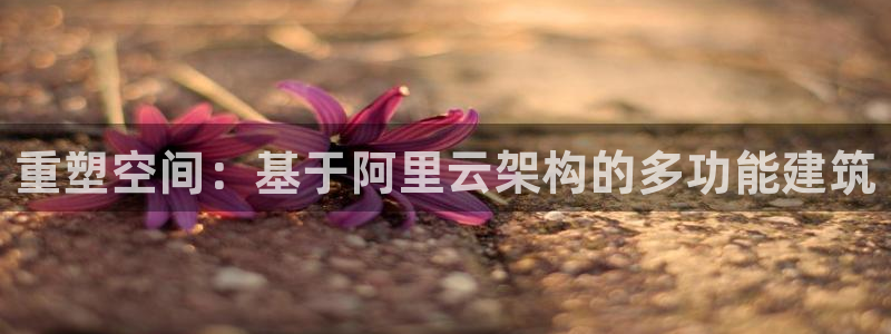 富联娱乐代理是谁开的：重塑空间：基于阿里云架构的多功能建筑