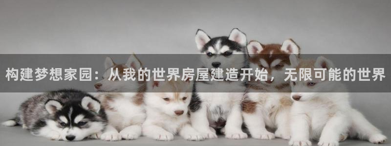 富联娱乐卜六七五一三八：构建梦想家园：从我的世界房屋建造开始，无限可能的世界