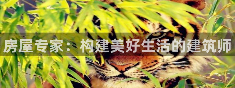 富联2娱乐是正规平台吗：房屋专家：构建美好生活的建筑师