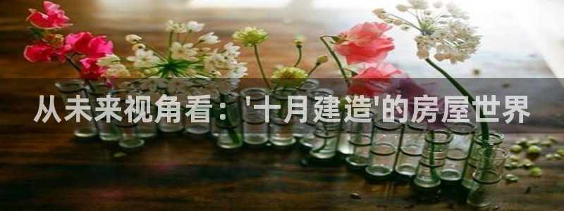 富联娱乐平台登录不了了：从未来视角看：\'十月建造\'的房屋世界
