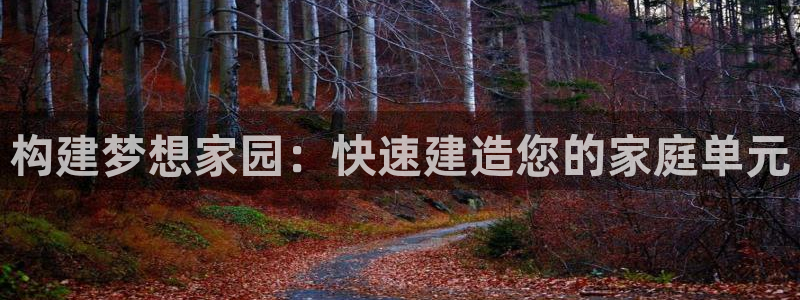 富联娱乐女团排名第几名：构建梦想家园：快速建造您的家庭单元