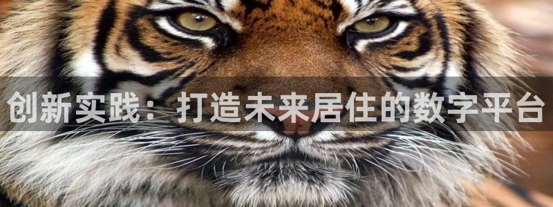 富联娱乐他37997筘：创新实践：打造未来居住的数字平台