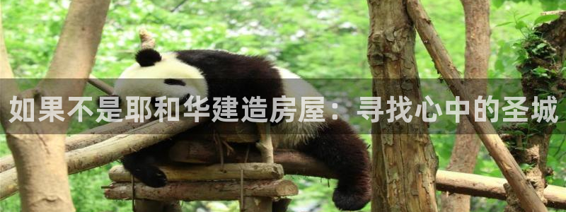 富联2娱乐平台注册不了：如果不是耶和华建造房屋：寻找心中的圣城