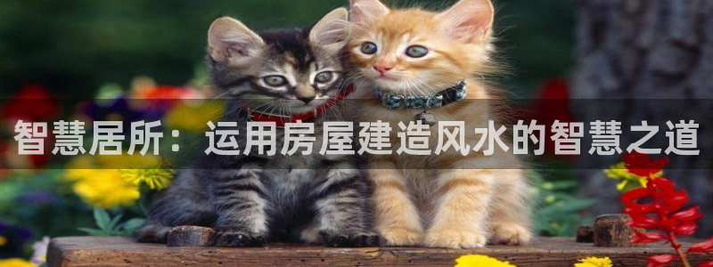 富联娱乐主管是谁啊老板：智慧居所：运用房屋建造风水的智慧之道