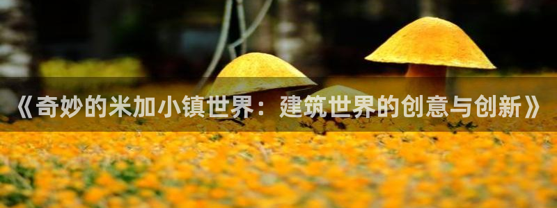 富联娱乐官方网站入口网址：《奇妙的米加小镇世界：建筑世界的创意与创新》