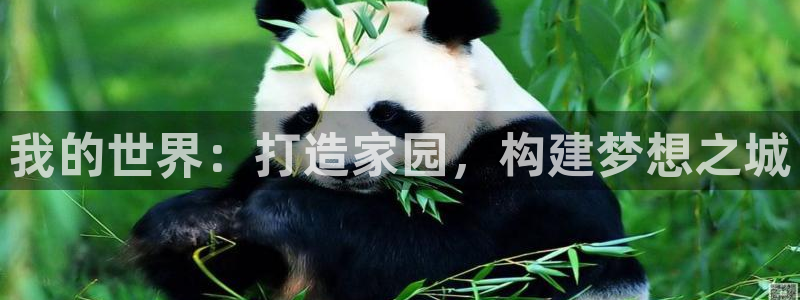 富联娱乐主管77903：我的世界：打造家园，构建梦想之城