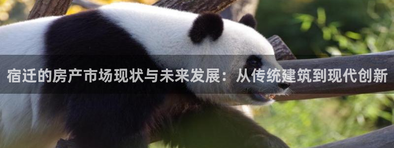 富联娱乐账号注册要钱吗：宿迁的房产市场现状与未来发展：从传统建筑到现代创新