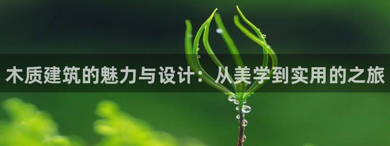 富联娱乐贴吧网站首页：木质建筑的魅力与设计：从美学到实用的之旅