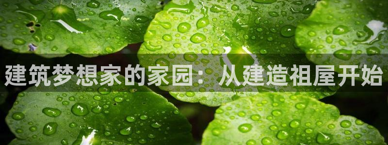 富联娱乐招商社判官333OO：建筑梦想家的家园：从建造祖屋开始