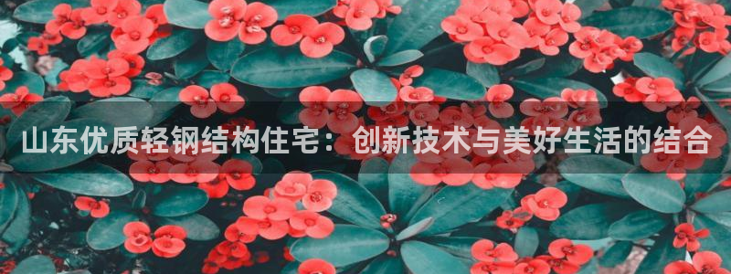 富联2娱乐资讯官网：山东优质轻钢结构住宅：创新技术与美好生活的结合