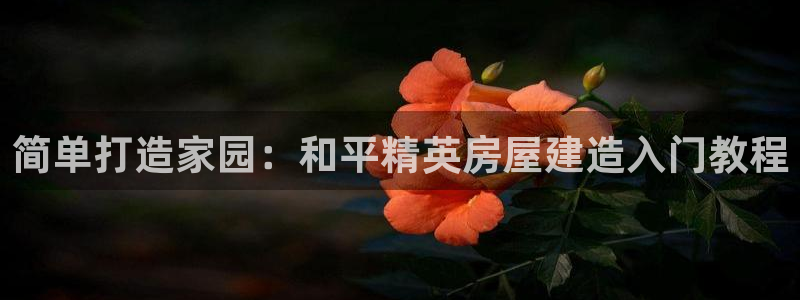 富联娱乐下载免费版：简单打造家园：和平精英房屋建造入门教程