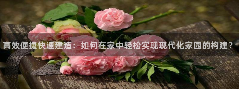 富联娱乐在线注册链接是什么网站：高效便捷快速建造：如何在家中轻松实现现代化家园的构建？