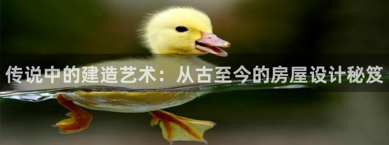 富联2娱乐元哥：传说中的建造艺术：从古至今的房屋设计秘笈