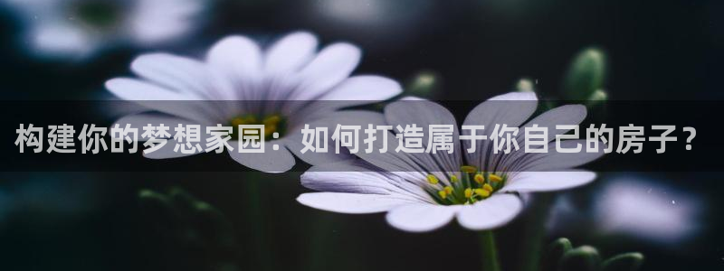 富联娱乐总裁简介图片：构建你的梦想家园：如何打造属于你自己的房子？