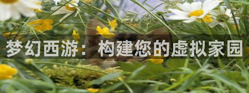 富联娱乐招商主管：梦幻西游：构建您的虚拟家园